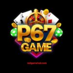 P67 Game