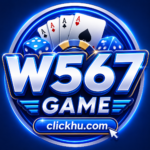 W567 Game