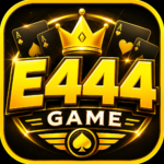 E444 Game