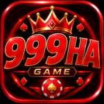 999HA Game